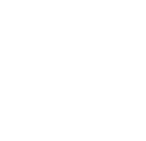 Paulick Holzbau Logo weiß und quadratisch